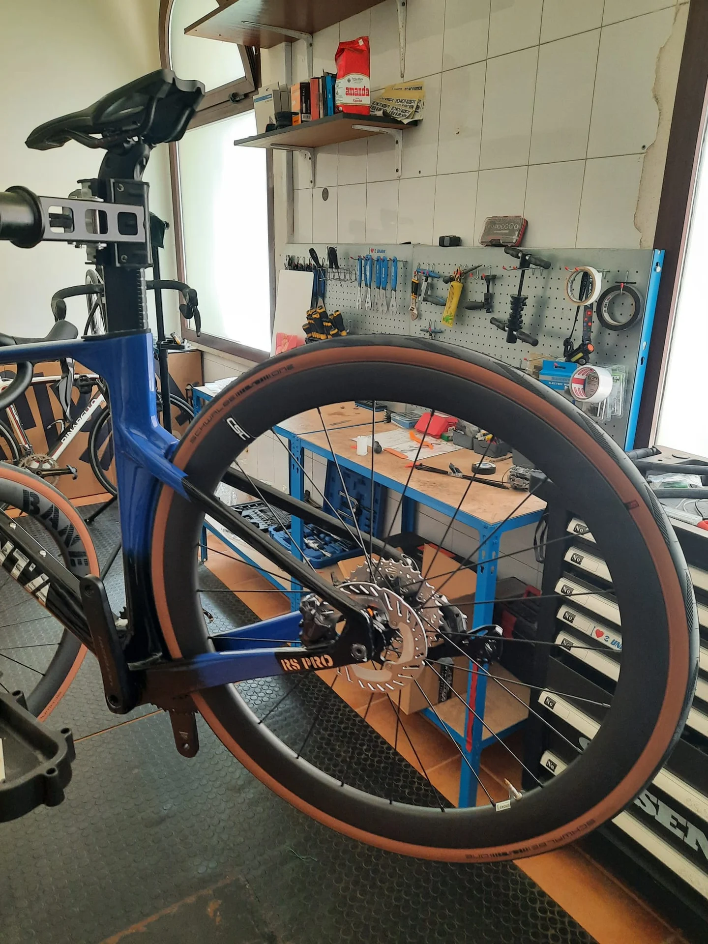 Carbon disc-brake rear wheel with tan-wall tyre on the Argenta RS Pro